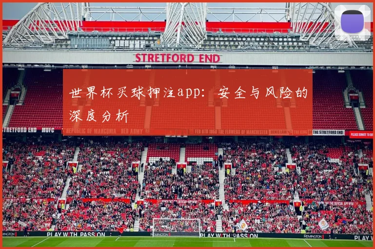 世界杯买球押注app：安全与风险的深度分析