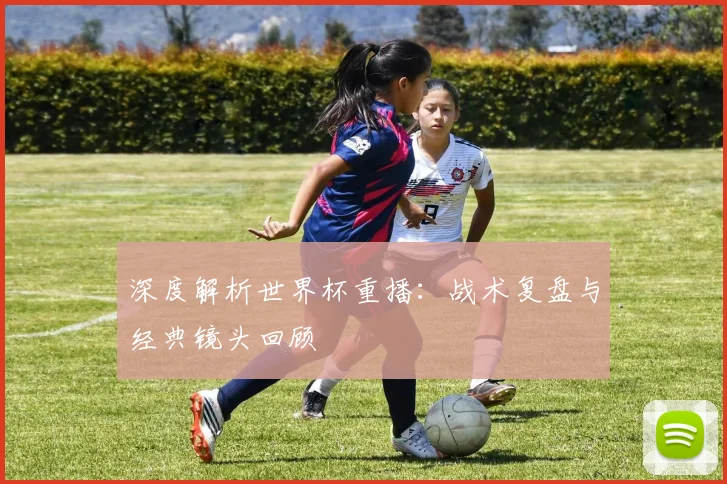 深度解析世界杯重播：战术复盘与经典镜头回顾